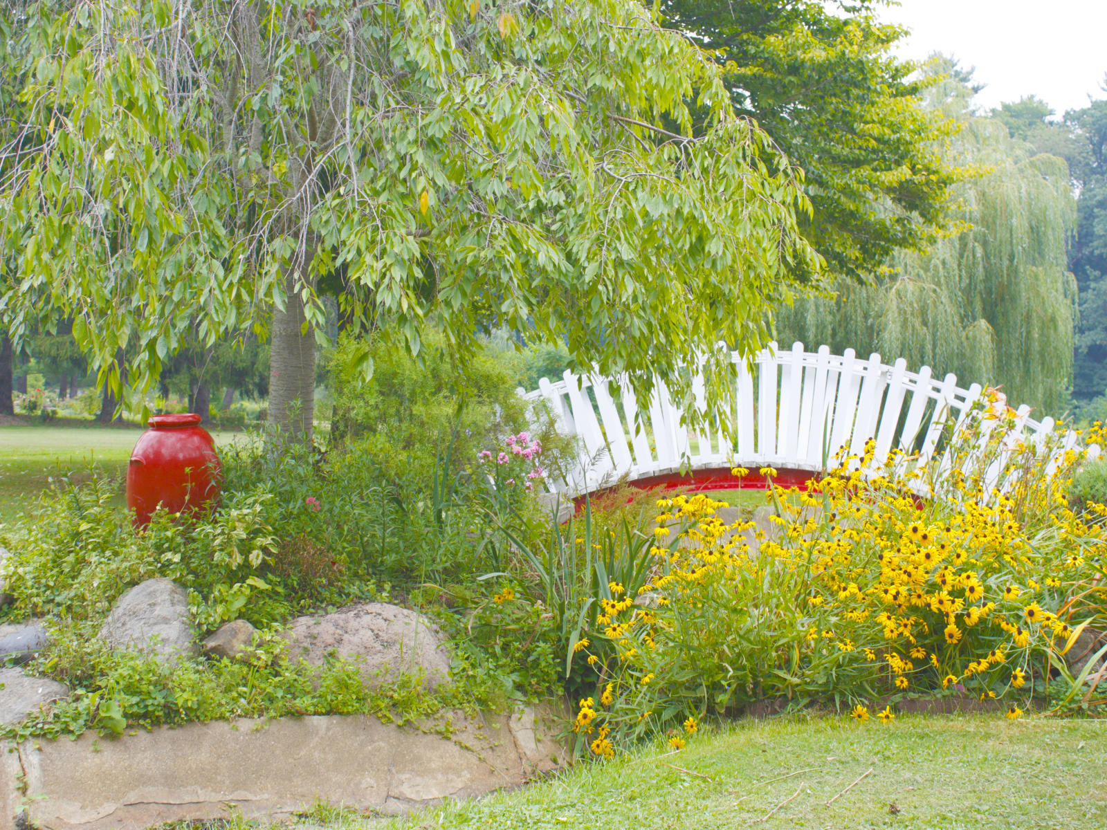 22806 nature, yellow daisy indiana friendship garden .jpg