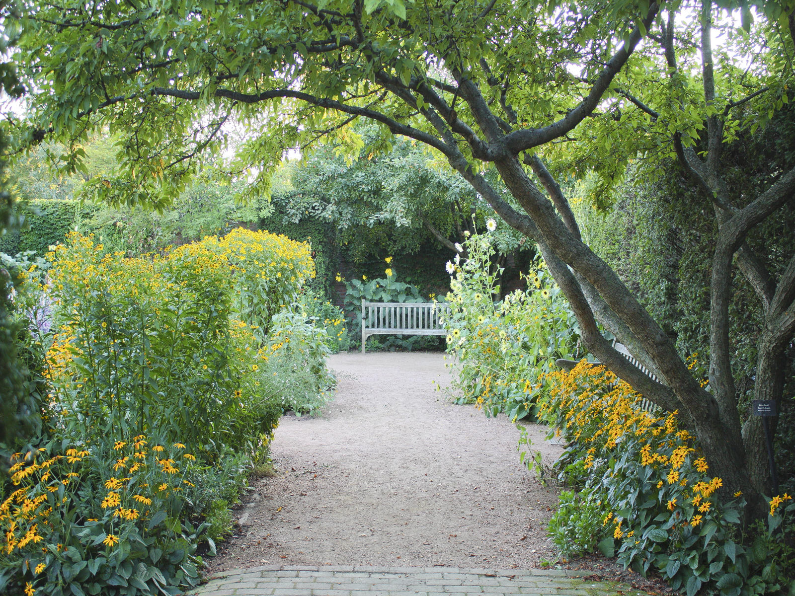 22887 nature, flowers chicago botantical .jpg
