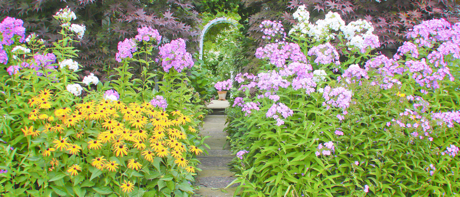 22991p nature garden walk .jpg