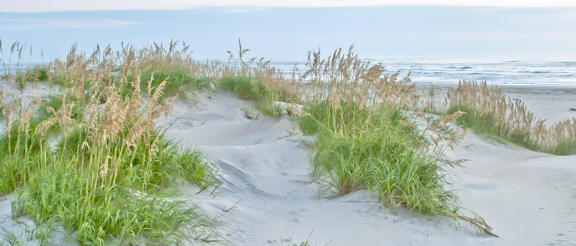 23153p seascape, beach, dunes, .jpg