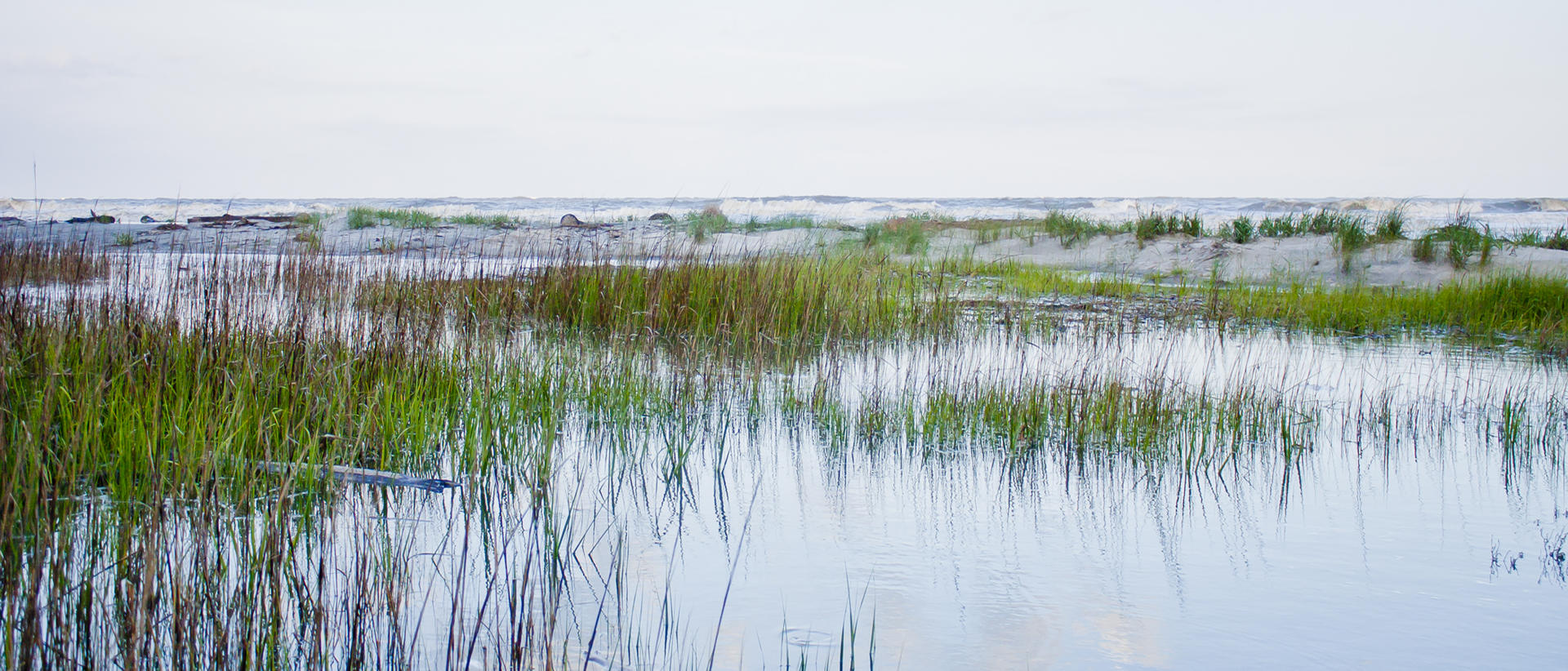 24198p  seascape, beaches  .jpg