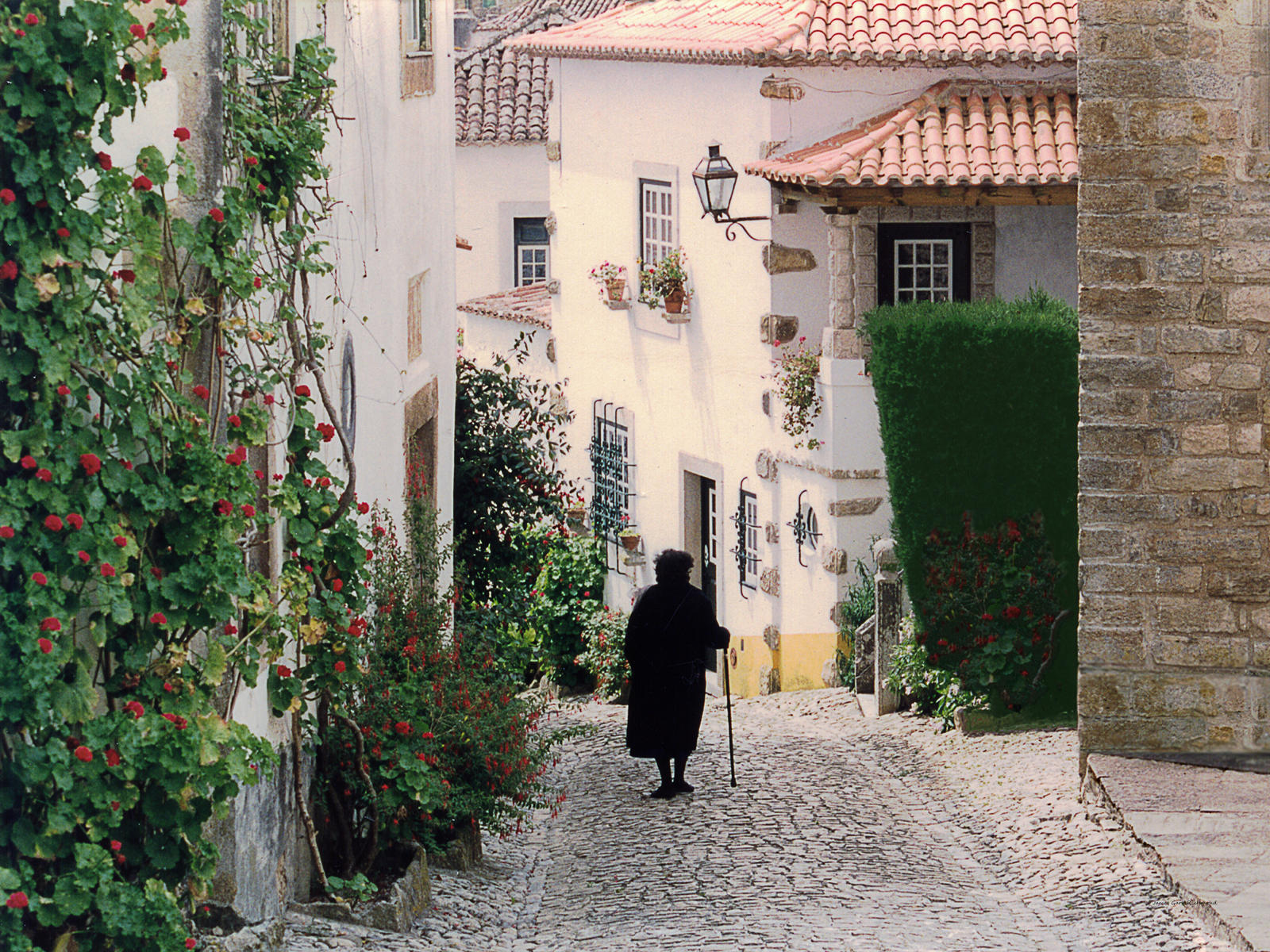 26696 architecture, lifestyles, lady on portugese street, , .jpg