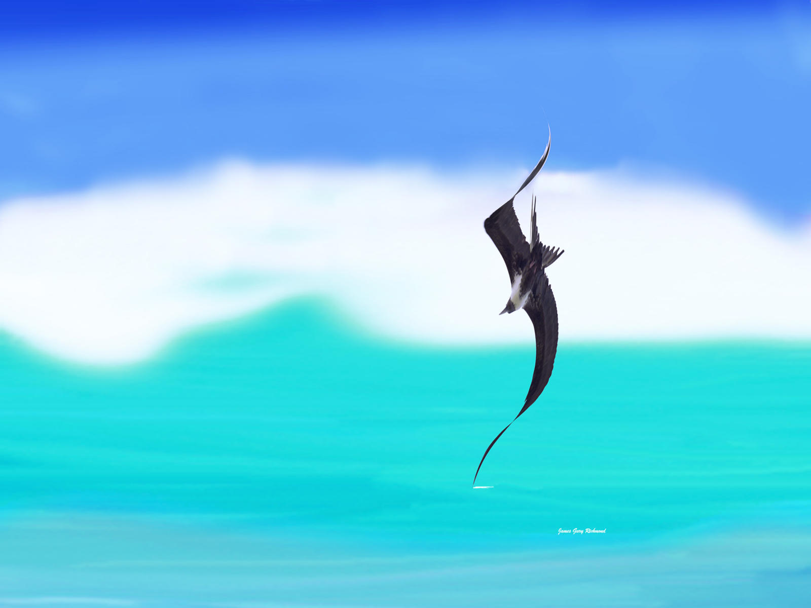 27514 seascape, fantasy, bird, tropical 9x12.jpg