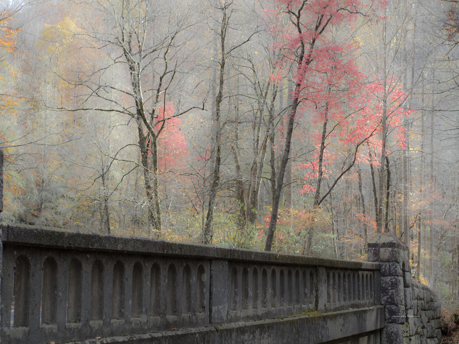 32201  nature, bridge, fall leaf change, .jpg