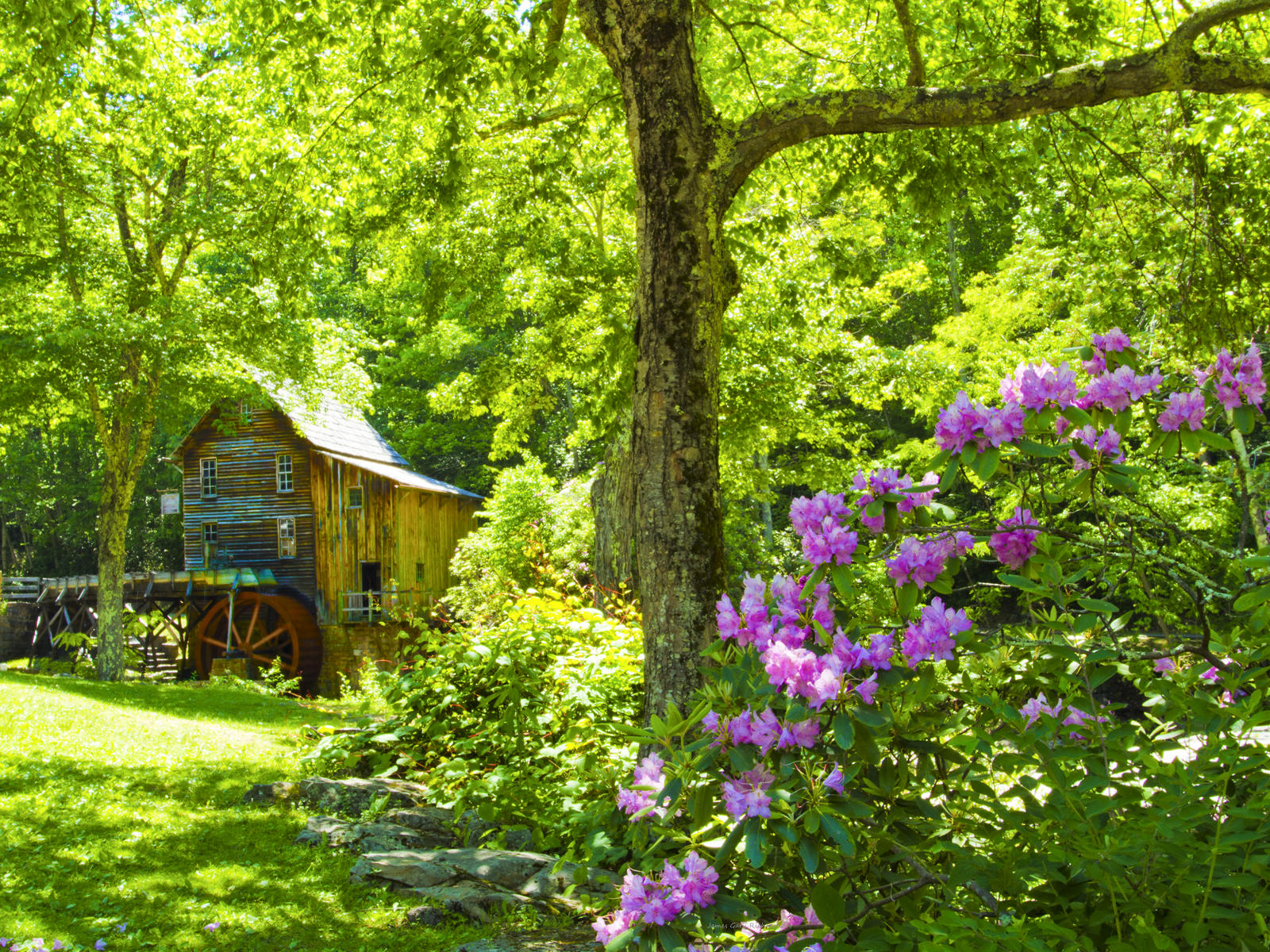 33066 nature, architecture, water wheel, west va .jpg