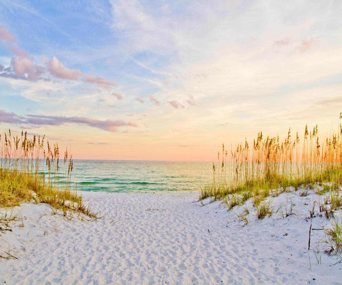34246 seascape, beach, sunset, seaoats .jpg