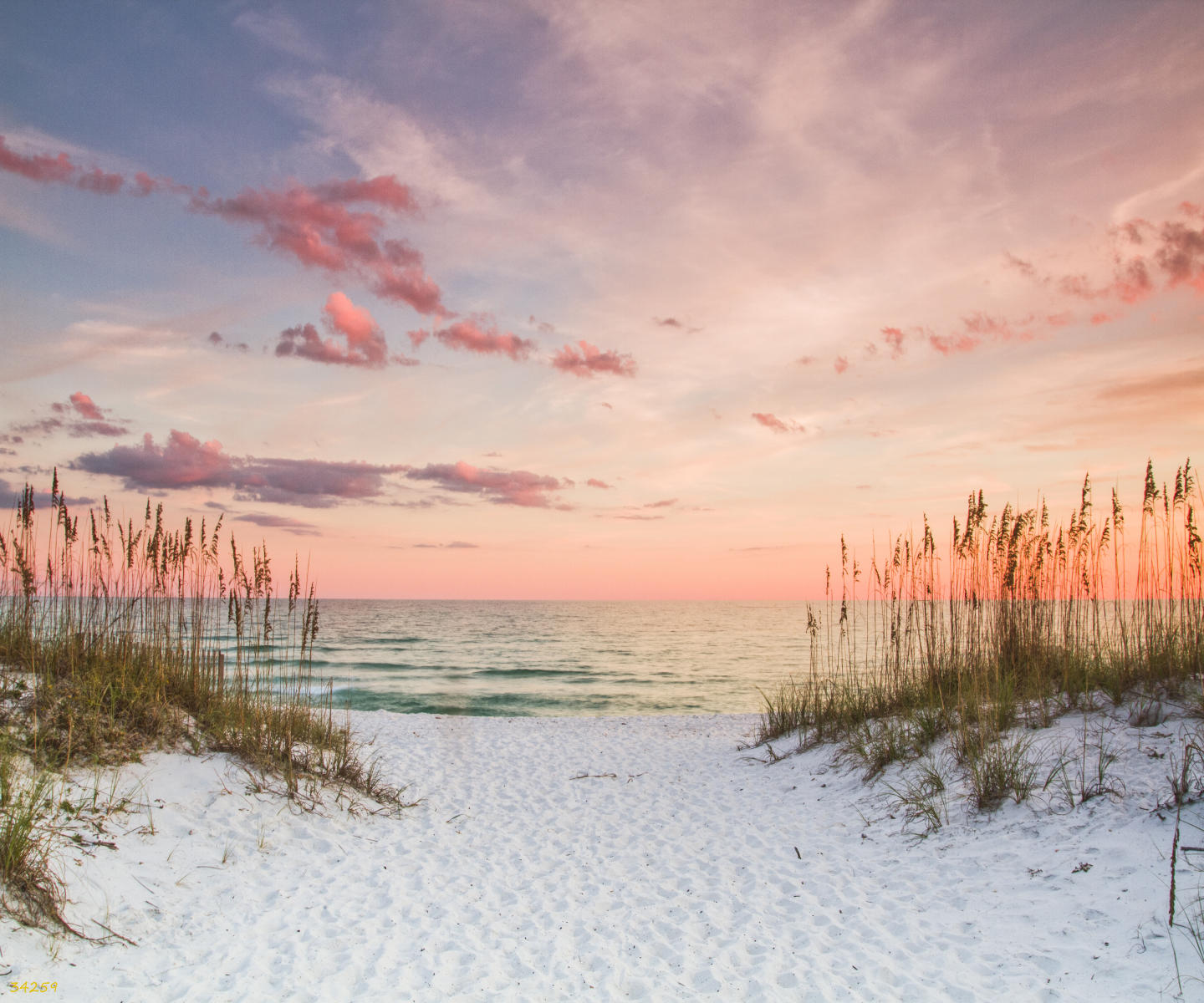 34259 seascape, seaoats, beach, sunset .jpg