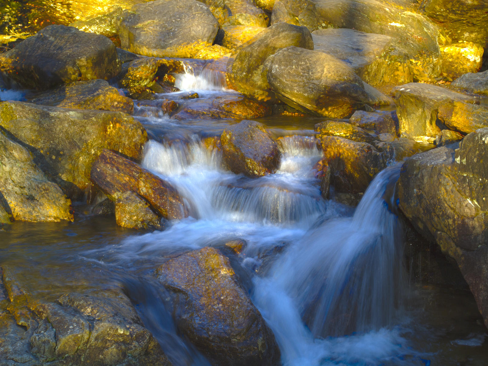 37520 nature, Carolina, river pisgah forest .jpg