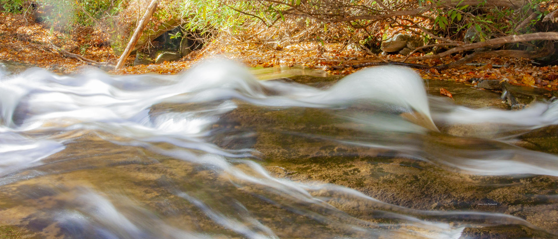 38643p nature, north carolina davidson river detail, .jpg