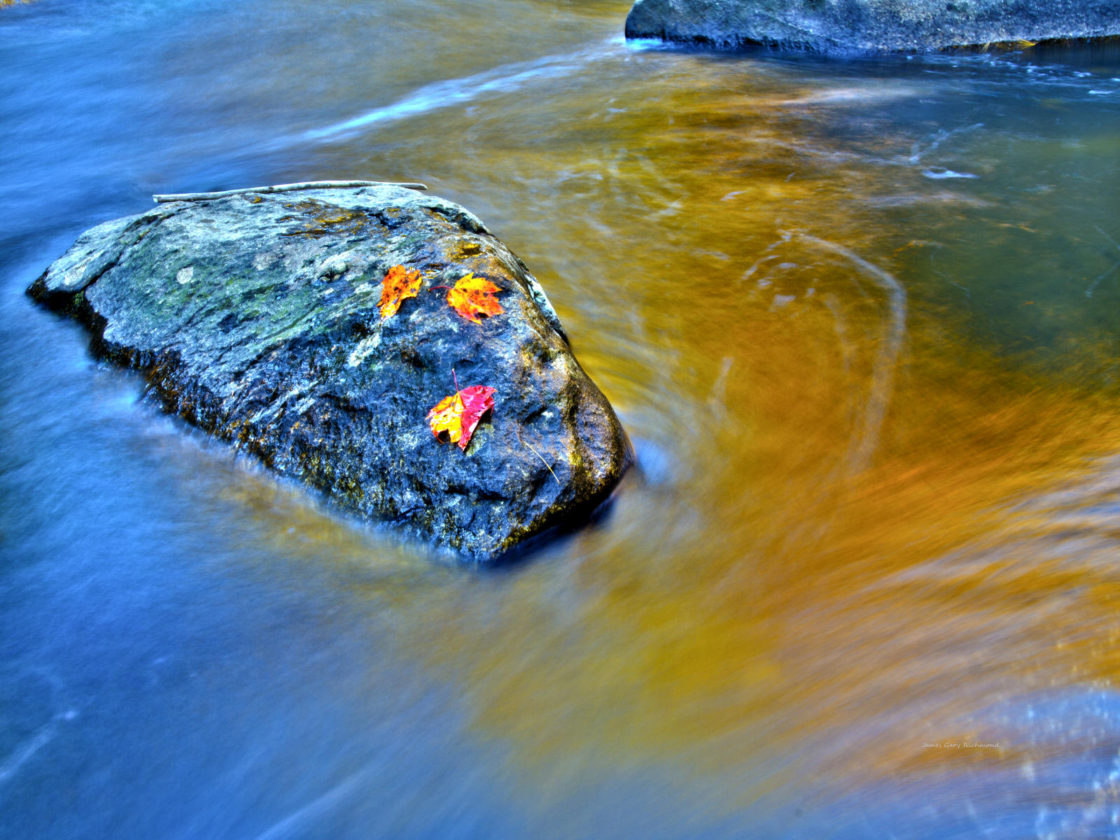 38918 nature, leaf change, reflections, river detail, .jpg