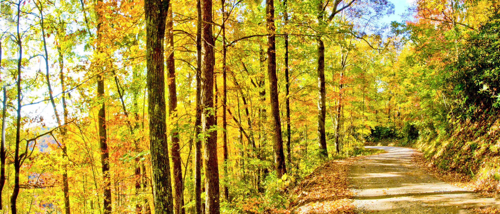 44429p nature,  fall time leaf color change  autumn winding road scenic landscape .jpg