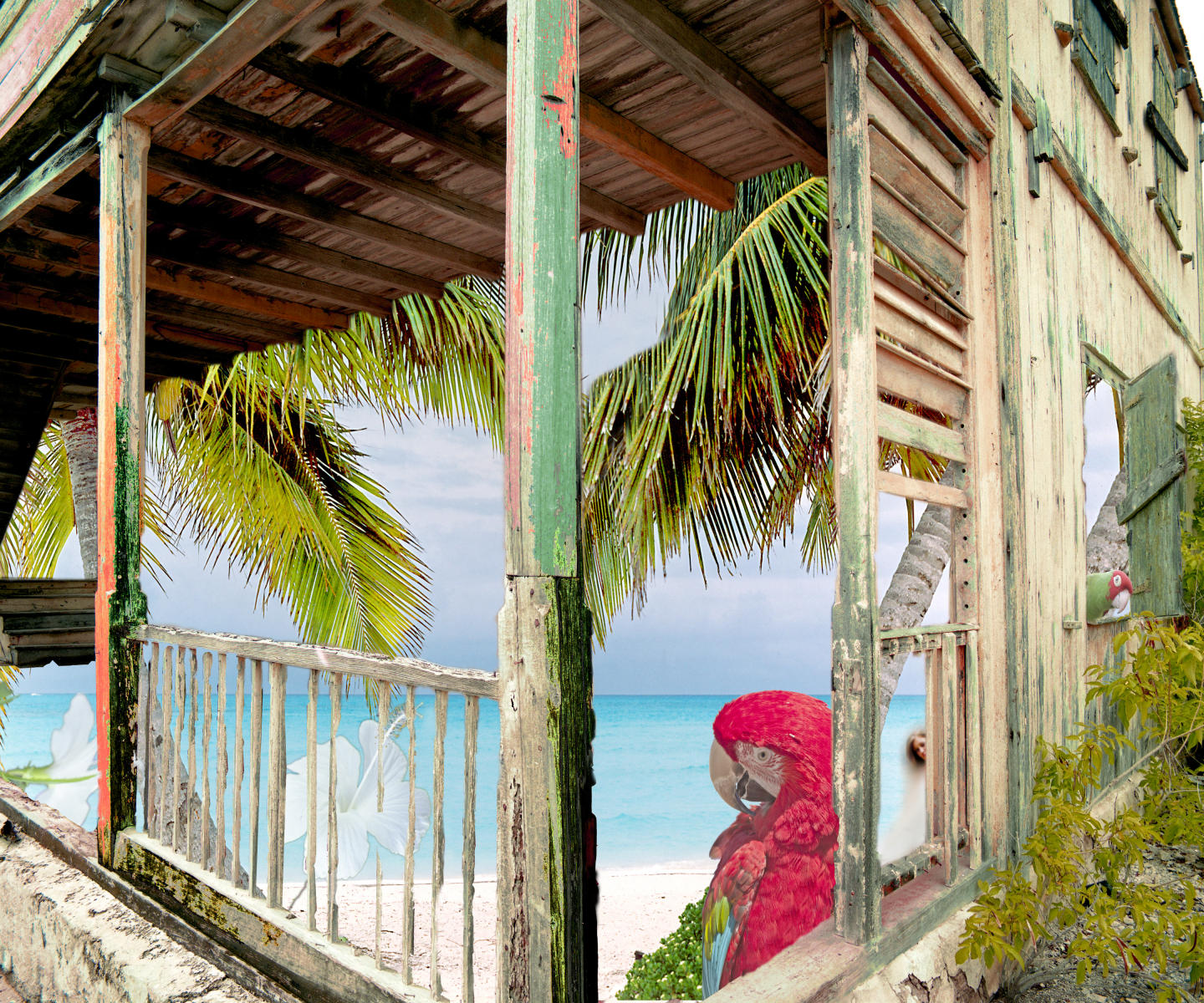 45371 tropical parrots hibiscus coastal architecture caribbean fantasy  coconut palms .jpg