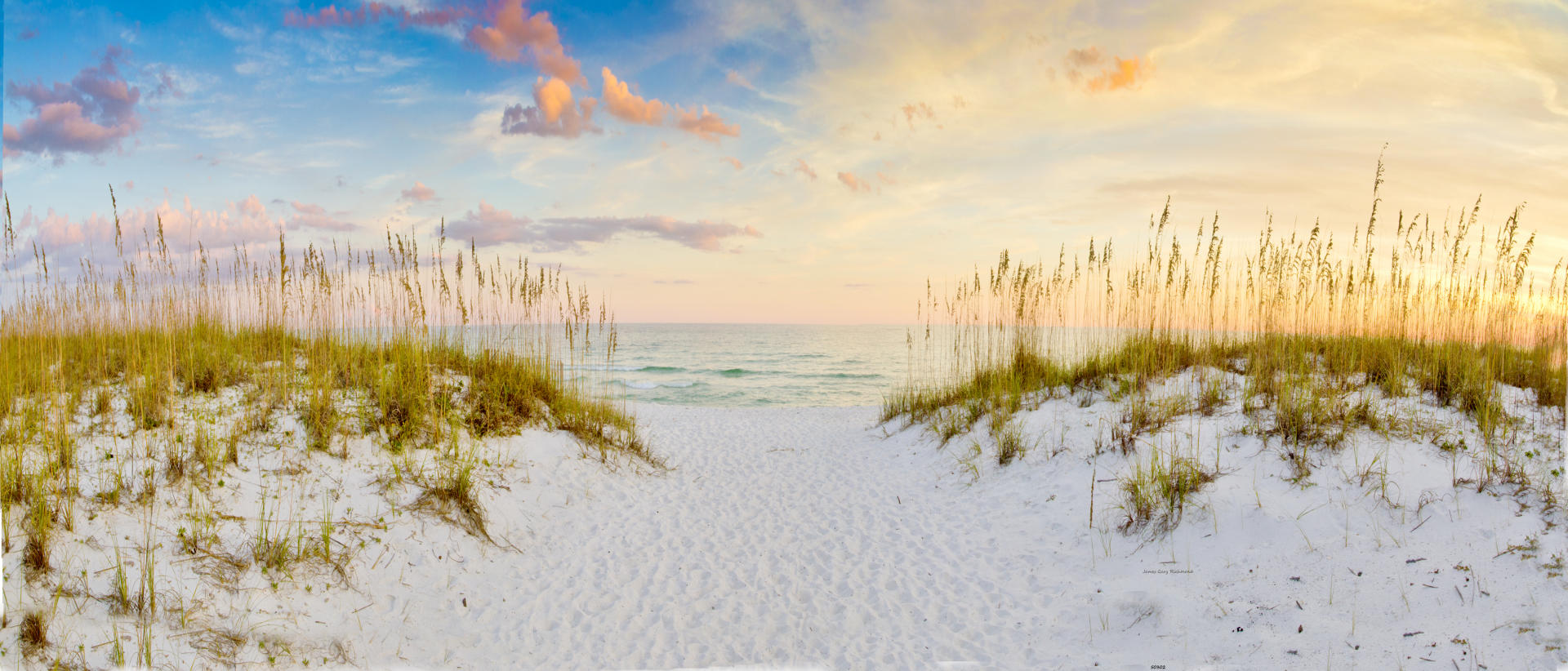 50302p seascape, beach, coastal, seaoats, surf  .jpg