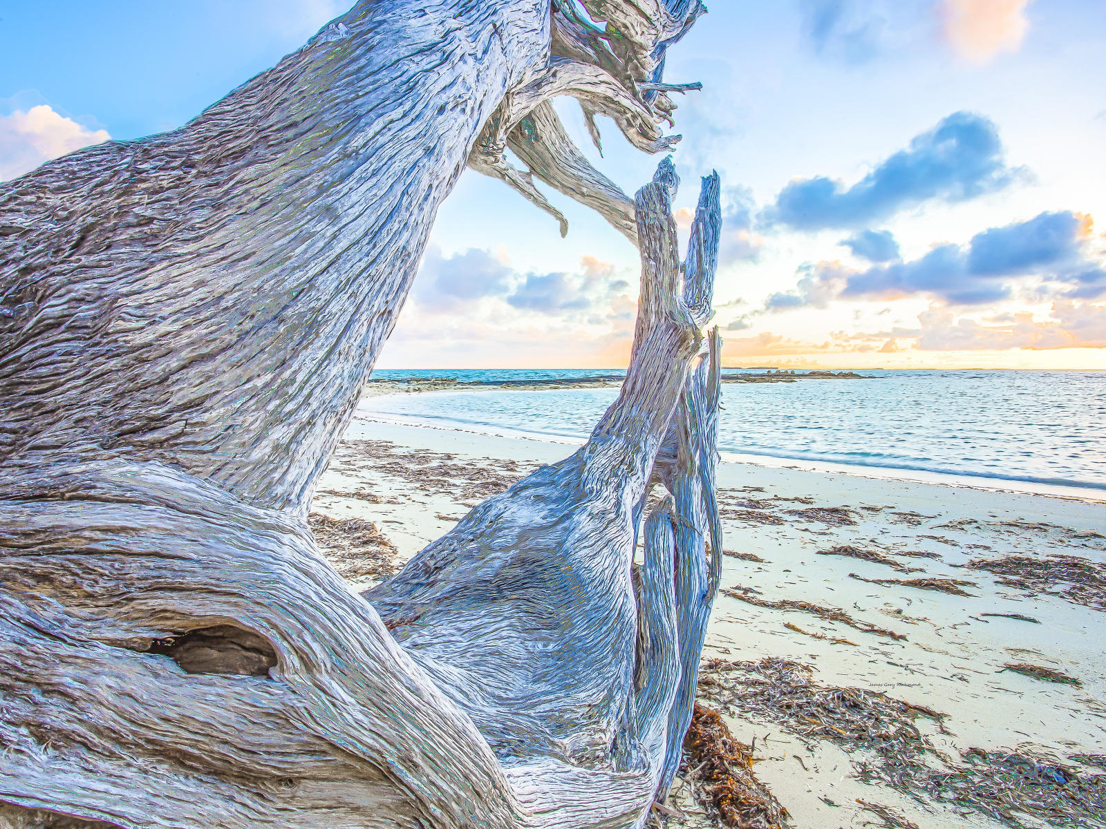 50709 seascape andros island bahamas caribbean sunrise driftwood  9x12.jpg