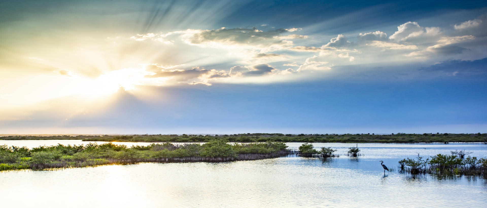 56120p nature, wetlands refuge bird life sunsets .jpg