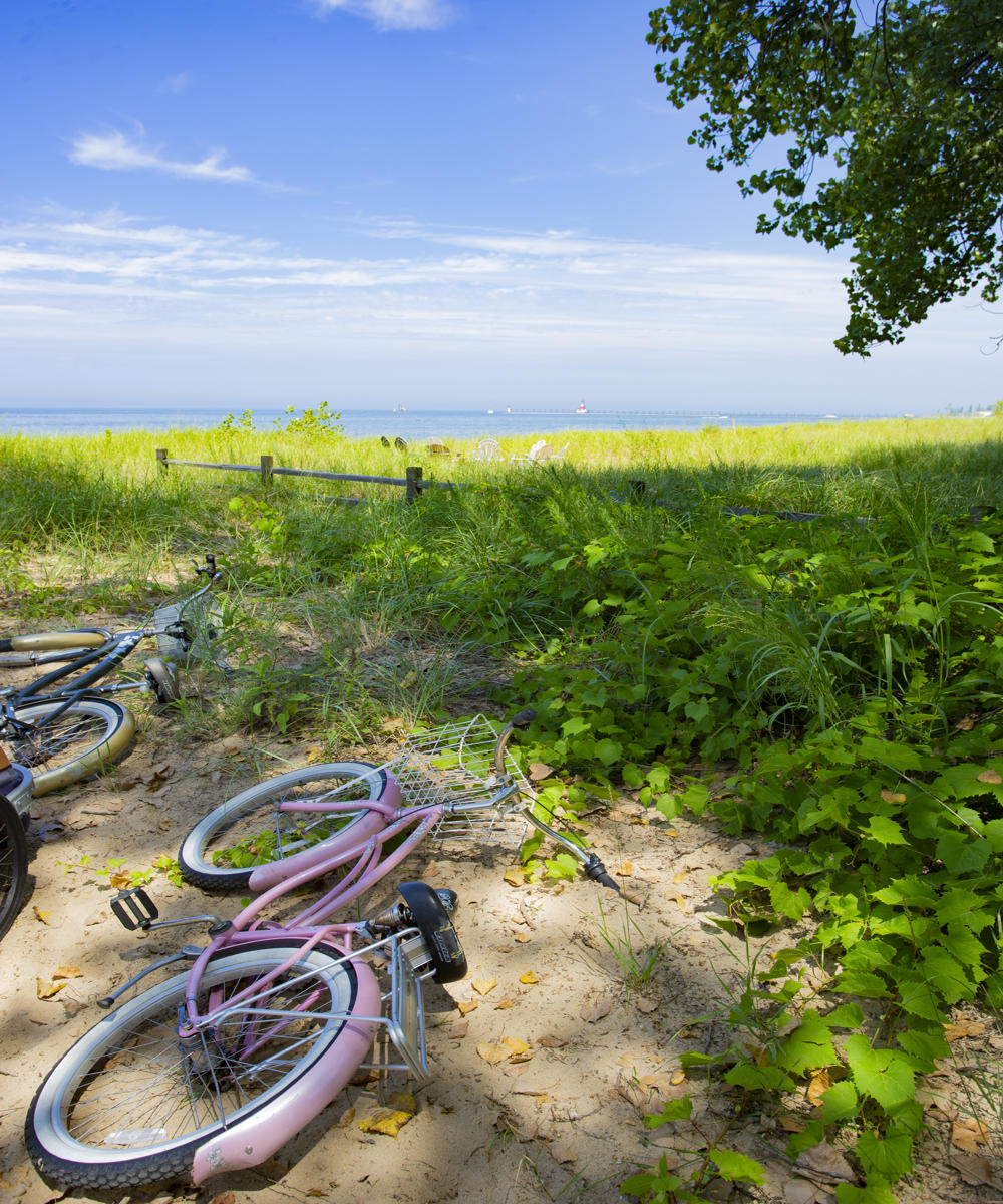 56919 seascape,  lake michigan byclce .jpg