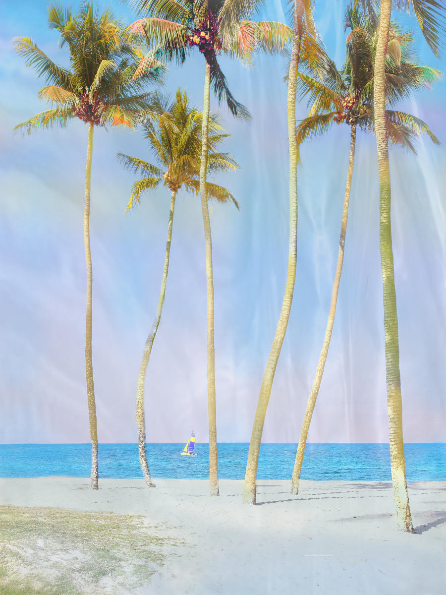 58208  seascape, caribbean hand painted coconut trees sailboat .jpg