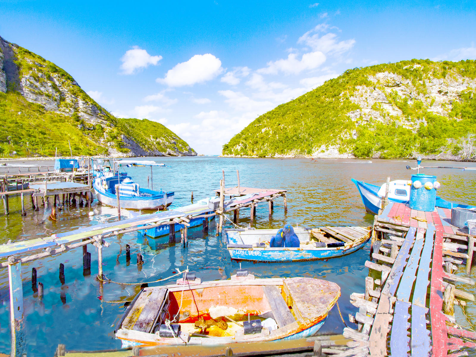58504  seascape fishing village, hand painted, docks,  parrots, flamingo , caribbean, tropical 9x12.jpg