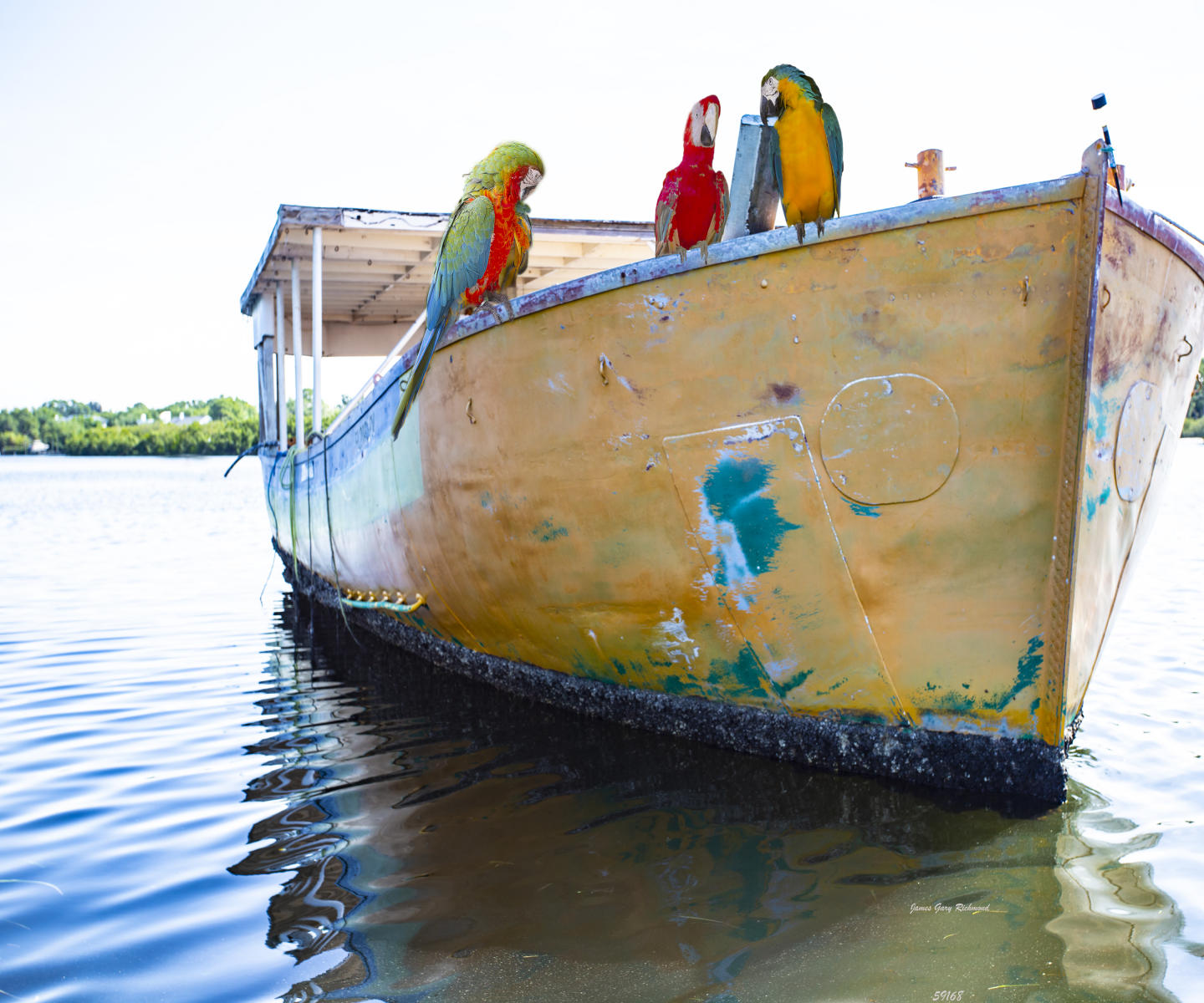 59168 seascape, parrots on boat .jpg