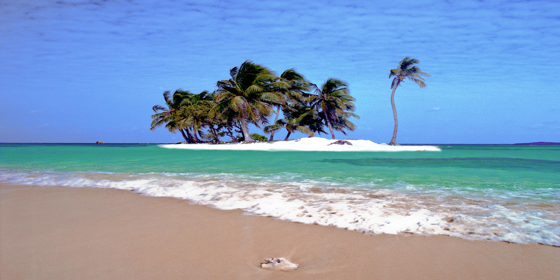 59301p seascape, caribbean life .jpg