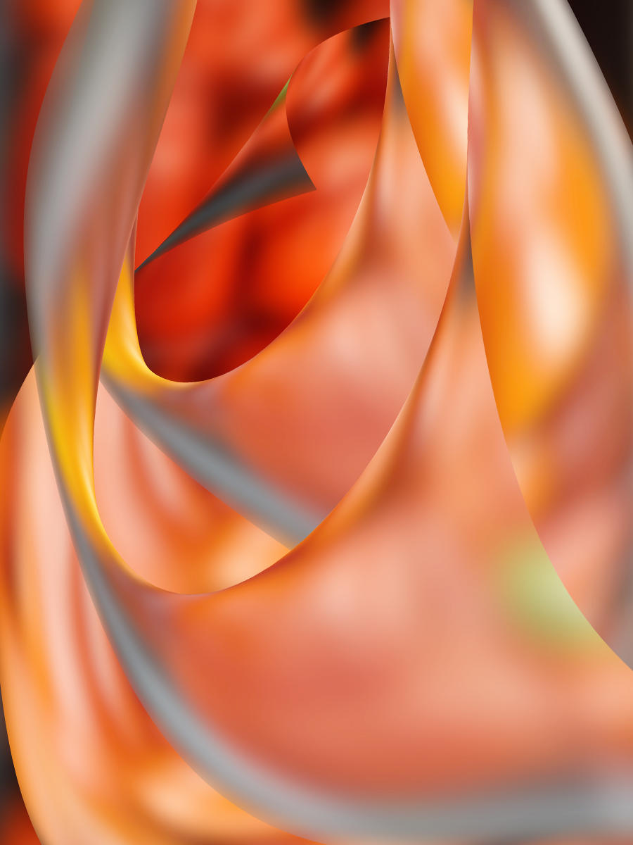 68506 abstract, red pepper  .jpg