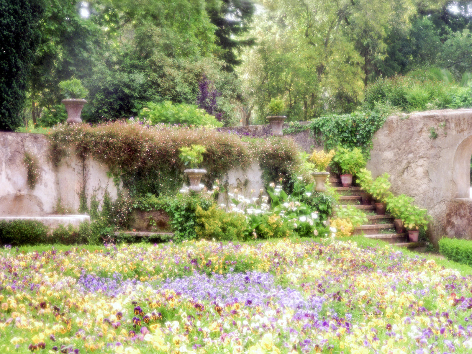 10218 architecture, nature,  ,mafra portugal, garden, flowers, europe. .jpg