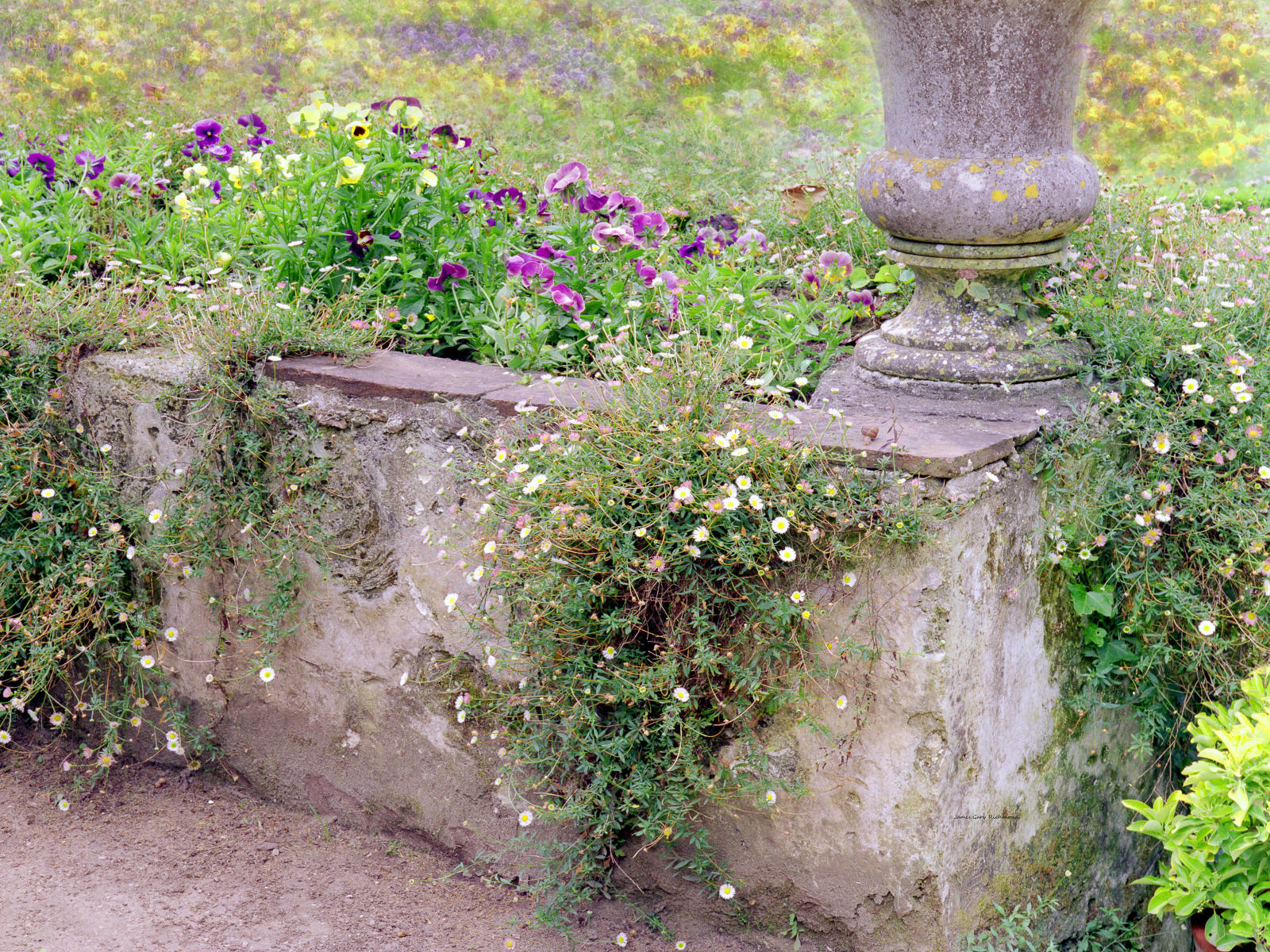 10256 architecture, nature,  vase, flowers, path ,gardens ,mafra, portugal, .jpg