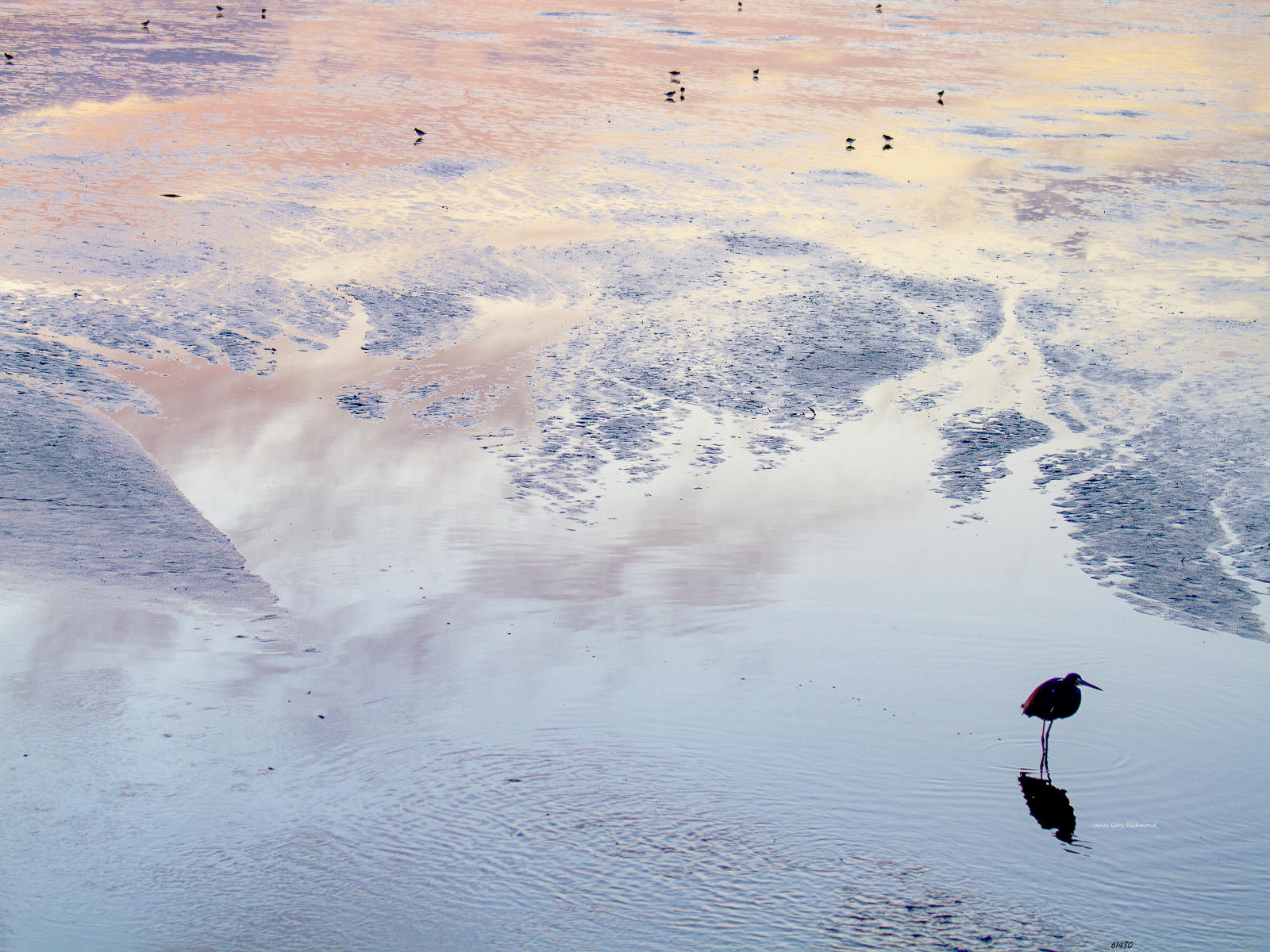 61480  nature, wetlands, sunrise, reflections, y.jpg