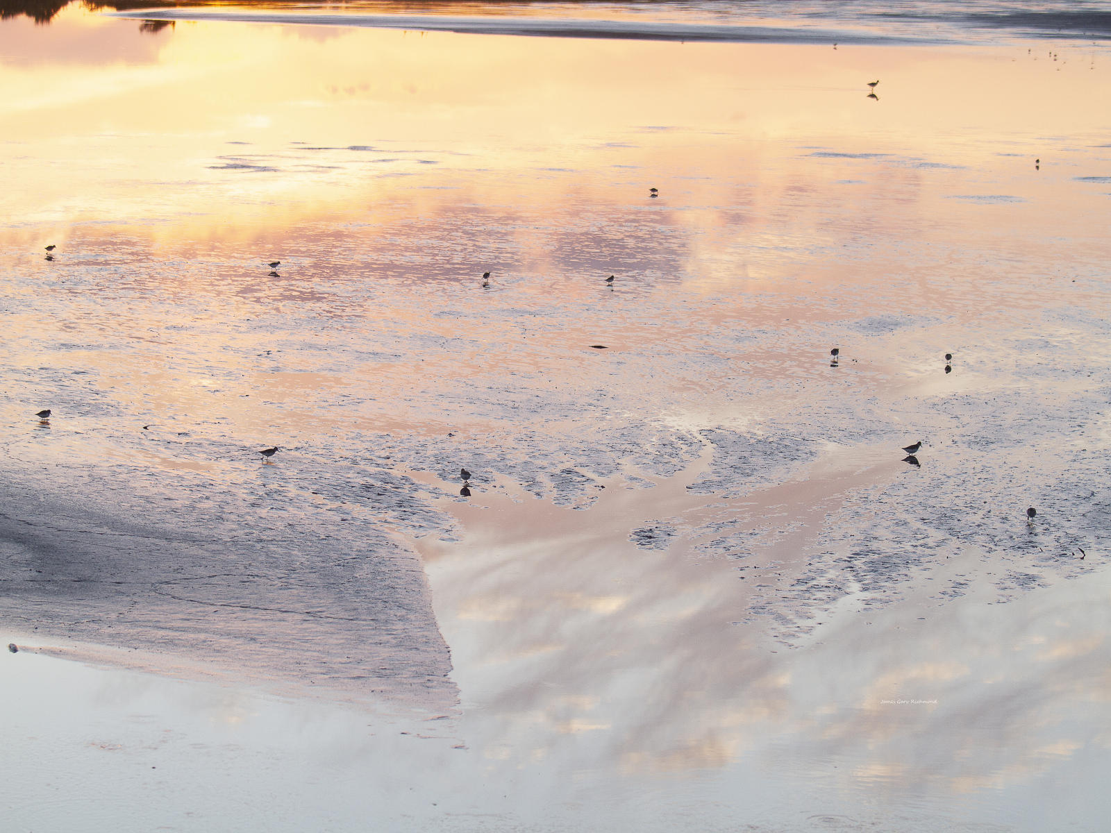 61485 nature, wetlands, sunrise, reflections, .jpg