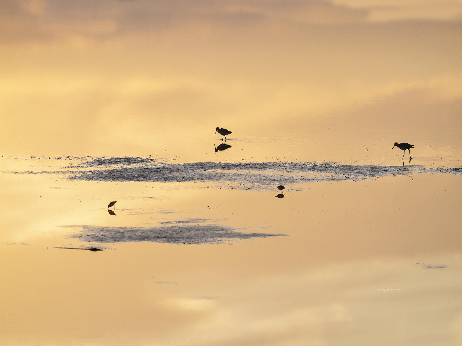 61495  nature, wetlands, sunrise, reflections, 9x12 copy.jpg