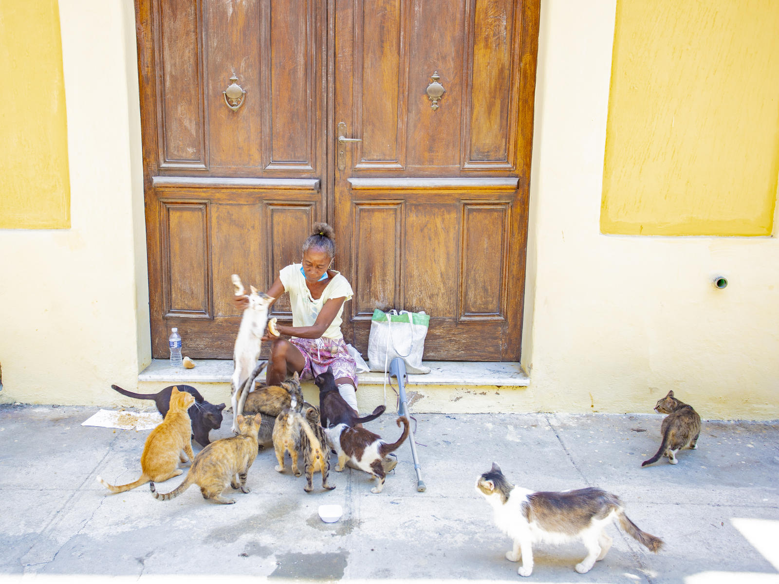 65145 cuba cat lady, street scenes,.jpg